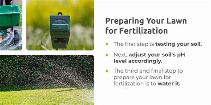 When to fertilize lawn - How To Discuss